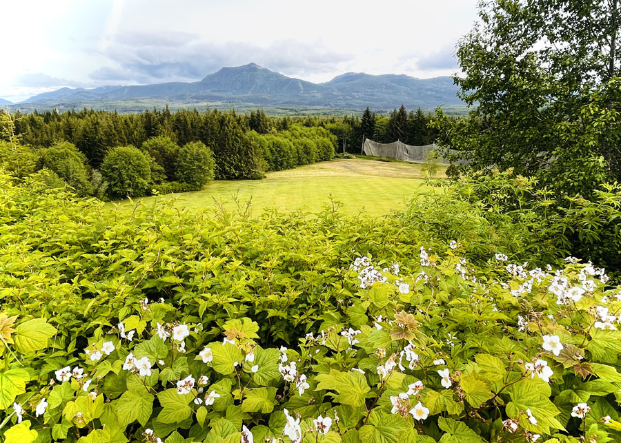 Driving Range with a view at Northern Vancouver Island golf course Seven Hills
