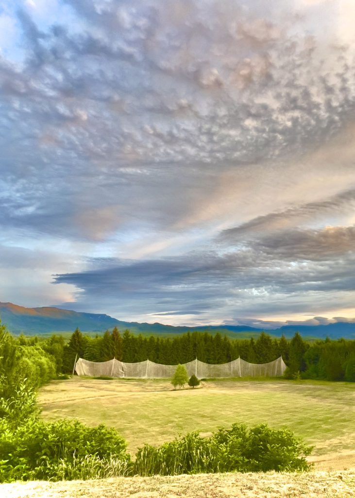 Driving Range at Seven Hills Golf Course Port Hardy B.C.