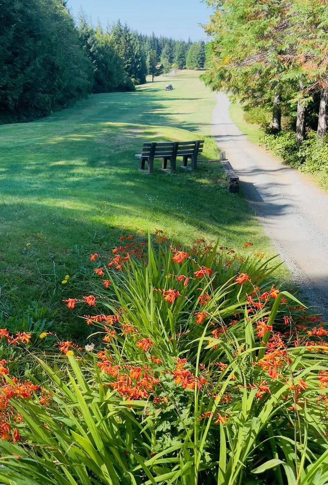 Hole 7 at Port Hardy Golf Course Seven Hills