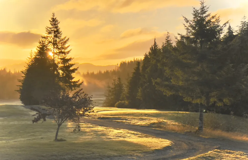 Sunrise at Seven Hills Golf Course northern Vancouver Island